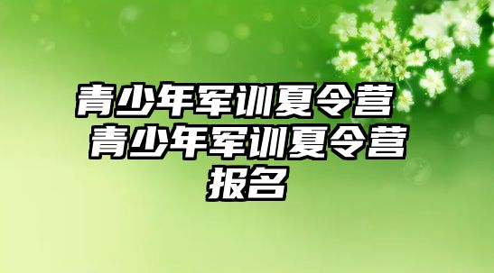 青少年軍訓夏令營 青少年軍訓夏令營報名