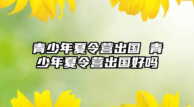 青少年夏令營(yíng)出國(guó) 青少年夏令營(yíng)出國(guó)好嗎