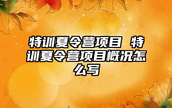 特訓夏令營項目 特訓夏令營項目概況怎么寫