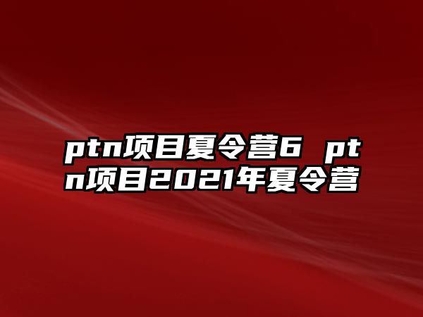 ptn項目夏令營6 ptn項目2021年夏令營