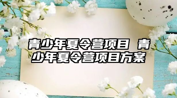 青少年夏令營項目 青少年夏令營項目方案