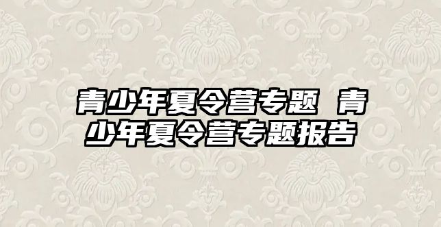 青少年夏令營專題 青少年夏令營專題報告