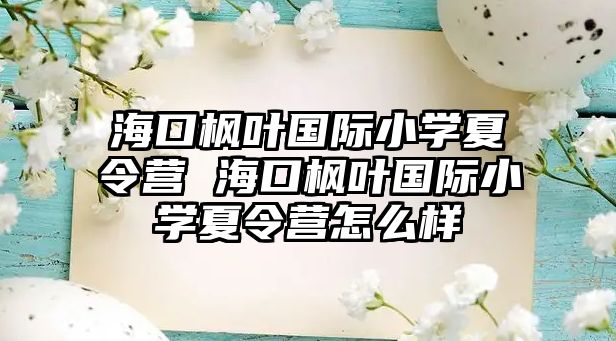 海口楓葉國際小學(xué)夏令營 海口楓葉國際小學(xué)夏令營怎么樣