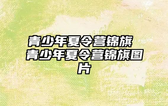 青少年夏令營錦旗 青少年夏令營錦旗圖片