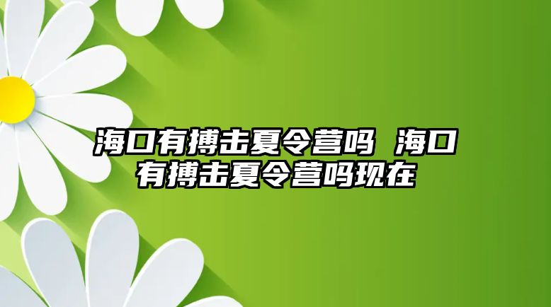 海口有搏擊夏令營嗎 海口有搏擊夏令營嗎現在