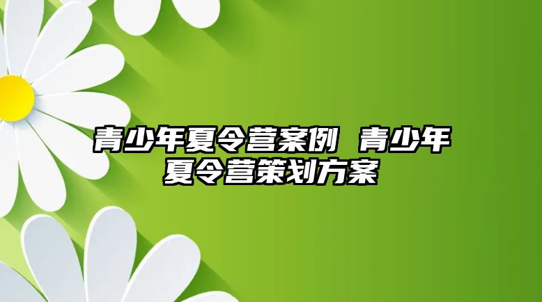 青少年夏令營案例 青少年夏令營策劃方案