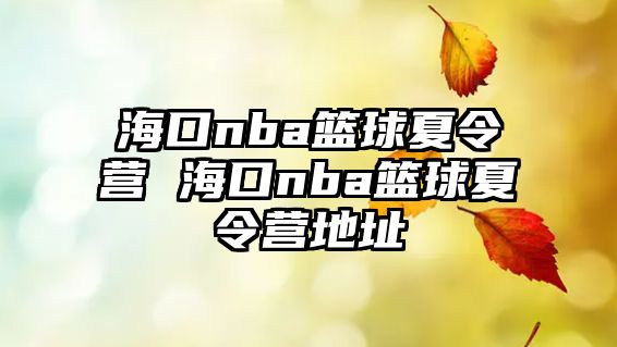 海口nba籃球夏令營 海口nba籃球夏令營地址