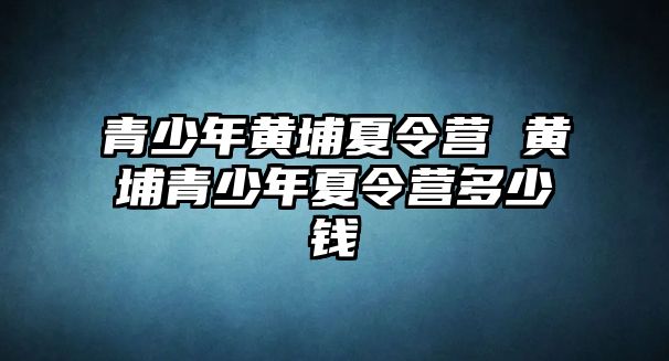 青少年黃埔夏令營 黃埔青少年夏令營多少錢