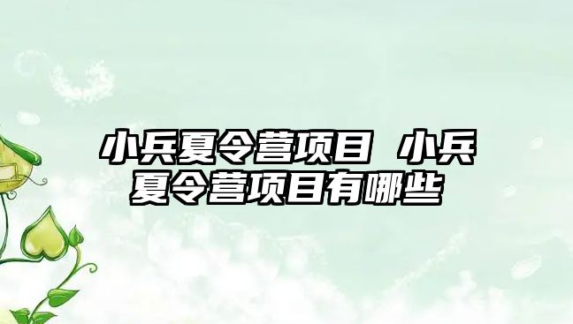 小兵夏令營項目 小兵夏令營項目有哪些