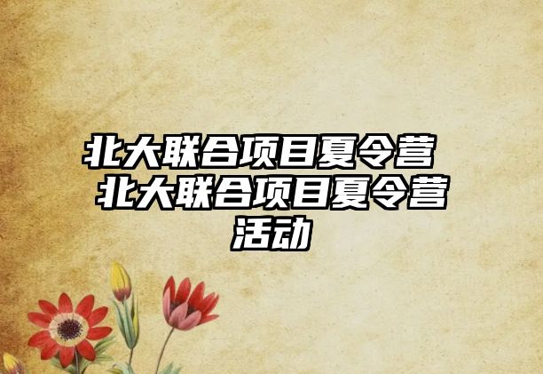 北大聯合項目夏令營 北大聯合項目夏令營活動