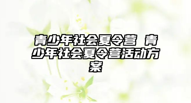 青少年社會夏令營 青少年社會夏令營活動方案