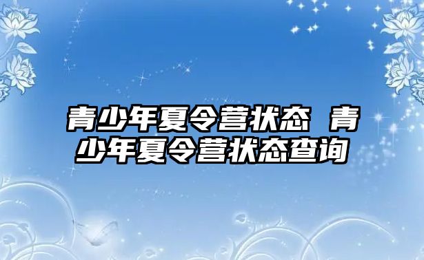 青少年夏令營狀態(tài) 青少年夏令營狀態(tài)查詢