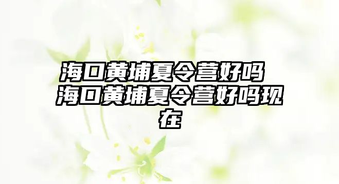 海口黃埔夏令營好嗎 海口黃埔夏令營好嗎現在