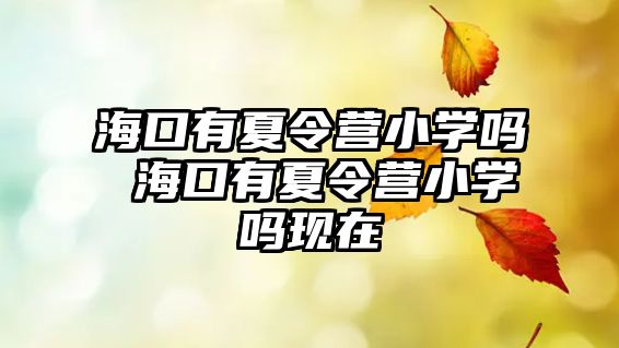 海口有夏令營小學(xué)嗎 海口有夏令營小學(xué)嗎現(xiàn)在