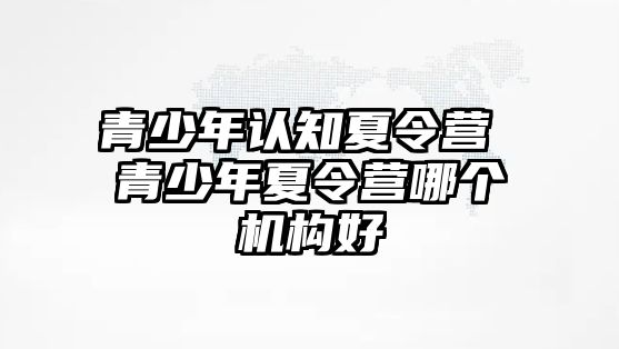 青少年認知夏令營 青少年夏令營哪個機構好