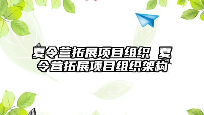 夏令營拓展項目組織 夏令營拓展項目組織架構