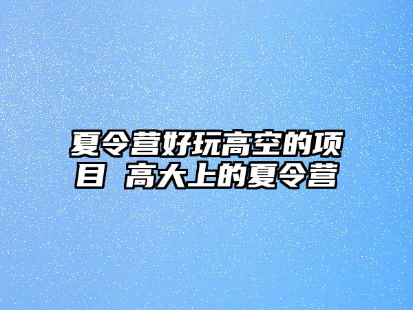 夏令營好玩高空的項目 高大上的夏令營