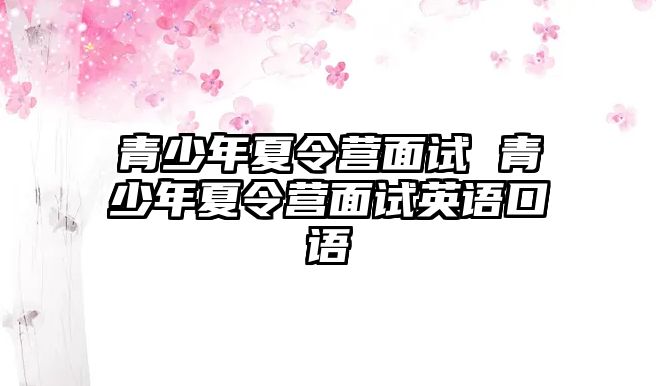 青少年夏令營面試 青少年夏令營面試英語口語