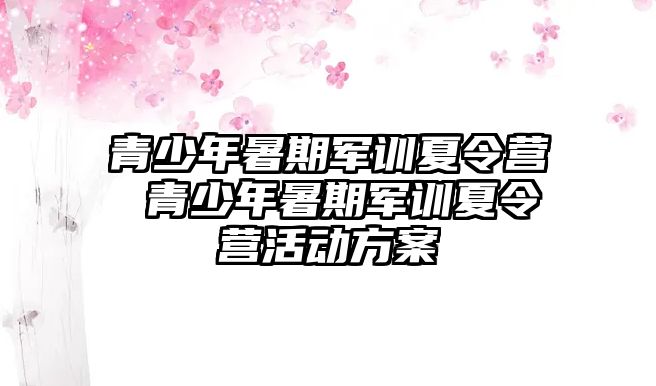 青少年暑期軍訓夏令營 青少年暑期軍訓夏令營活動方案