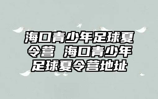 海口青少年足球夏令營 海口青少年足球夏令營地址