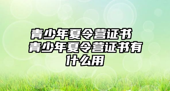 青少年夏令營證書 青少年夏令營證書有什么用