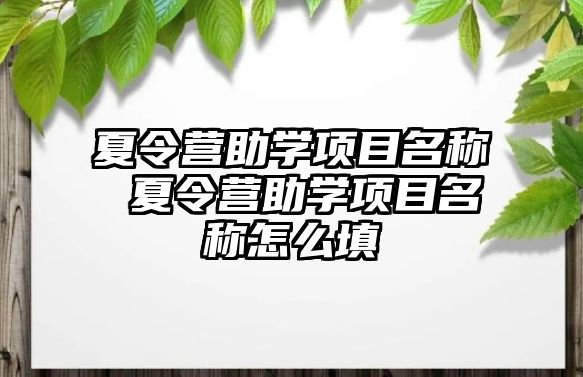 夏令營助學項目名稱 夏令營助學項目名稱怎么填