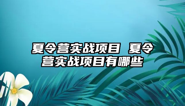 夏令營實戰(zhàn)項目 夏令營實戰(zhàn)項目有哪些