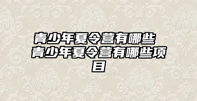 青少年夏令營有哪些 青少年夏令營有哪些項(xiàng)目