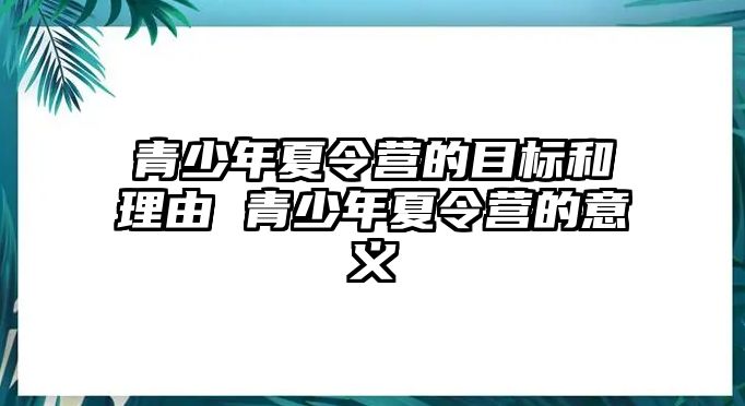 青少年夏令營(yíng)的目標(biāo)和理由 青少年夏令營(yíng)的意義