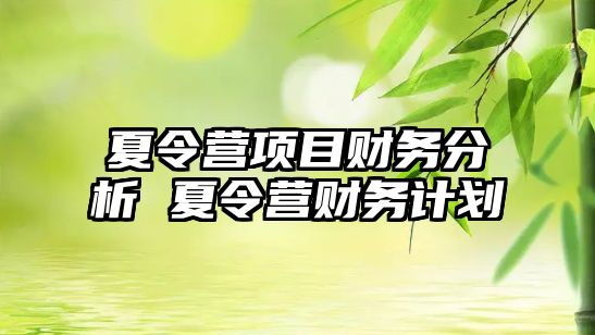 夏令營項目財務分析 夏令營財務計劃