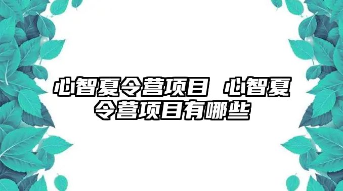 心智夏令營項目 心智夏令營項目有哪些