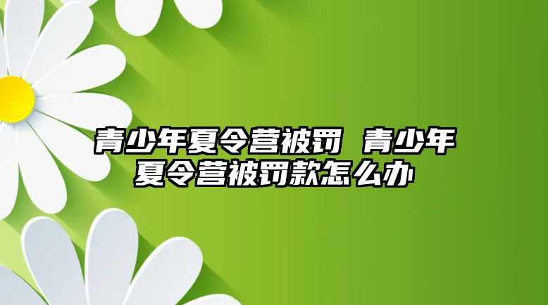 青少年夏令營被罰 青少年夏令營被罰款怎么辦