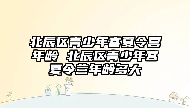 北辰區青少年宮夏令營年齡 北辰區青少年宮夏令營年齡多大