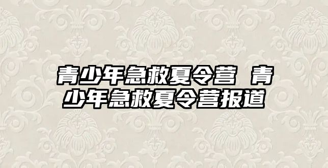 青少年急救夏令營 青少年急救夏令營報道