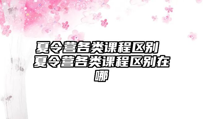 夏令營各類課程區別 夏令營各類課程區別在哪