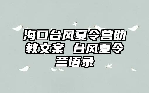 海口臺風夏令營助教文案 臺風夏令營語錄