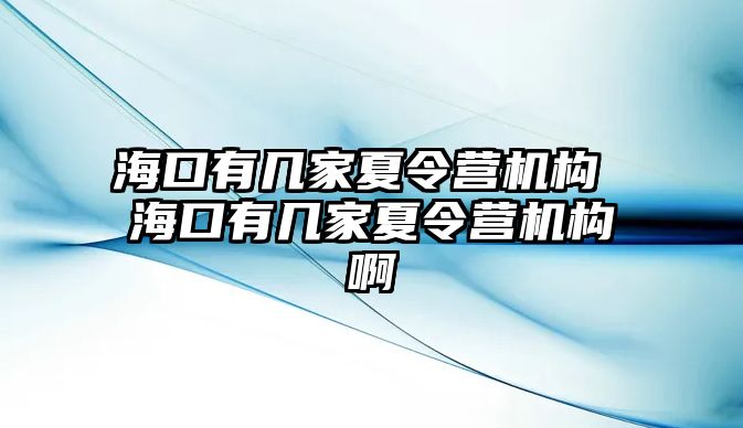 海口有幾家夏令營機構 海口有幾家夏令營機構啊