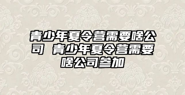 青少年夏令營需要啥公司 青少年夏令營需要啥公司參加