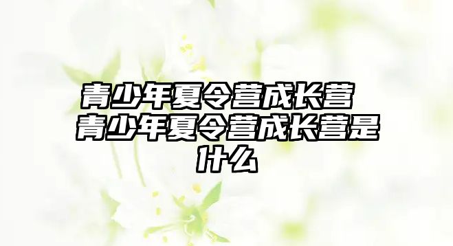 青少年夏令營(yíng)成長(zhǎng)營(yíng) 青少年夏令營(yíng)成長(zhǎng)營(yíng)是什么