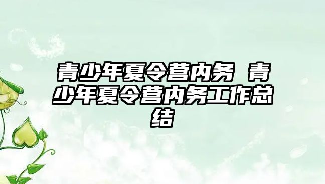 青少年夏令營內(nèi)務(wù) 青少年夏令營內(nèi)務(wù)工作總結(jié)