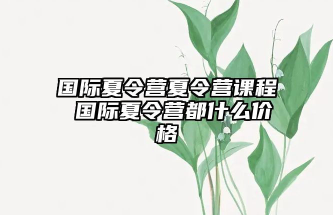 國際夏令營夏令營課程 國際夏令營都什么價格