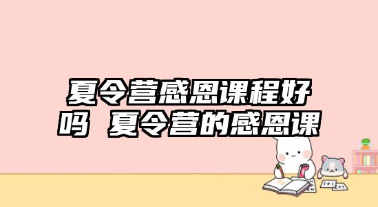 夏令營感恩課程好嗎 夏令營的感恩課