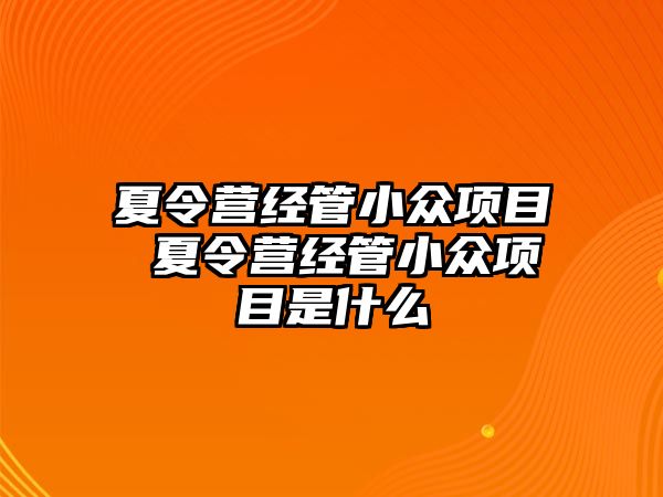 夏令營經管小眾項目 夏令營經管小眾項目是什么