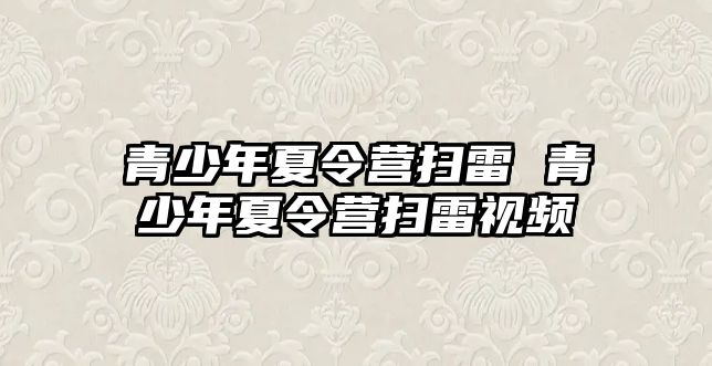 青少年夏令營掃雷 青少年夏令營掃雷視頻