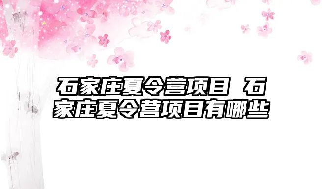 石家莊夏令營(yíng)項(xiàng)目 石家莊夏令營(yíng)項(xiàng)目有哪些