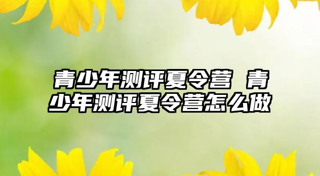 青少年測評夏令營 青少年測評夏令營怎么做