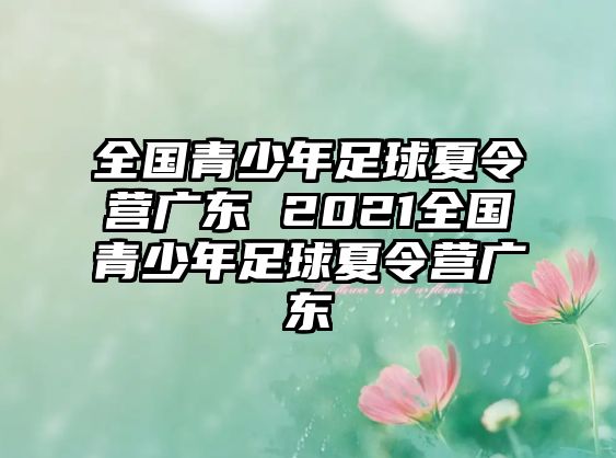 全國青少年足球夏令營廣東 2021全國青少年足球夏令營廣東