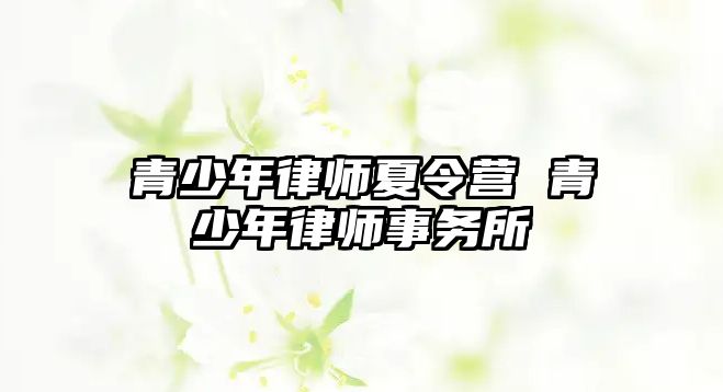 青少年律師夏令營(yíng) 青少年律師事務(wù)所