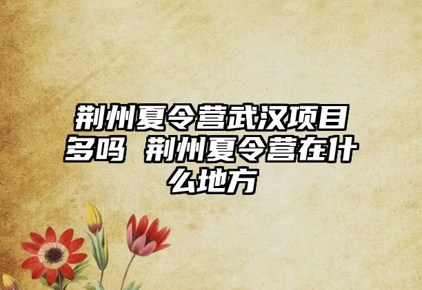 荊州夏令營武漢項(xiàng)目多嗎 荊州夏令營在什么地方