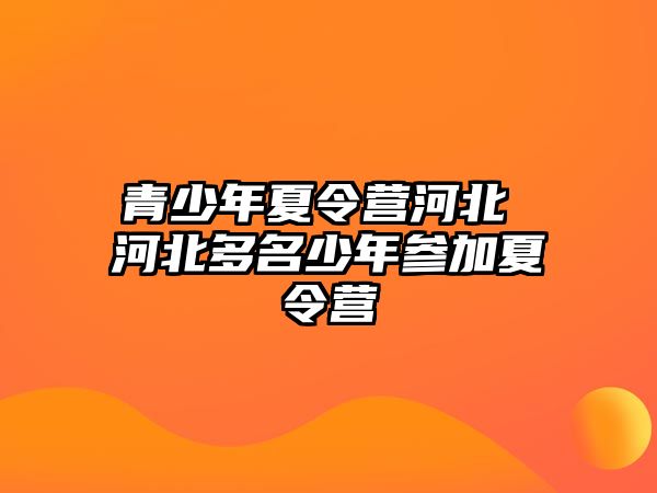 青少年夏令營河北 河北多名少年參加夏令營